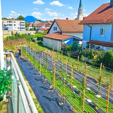 Og1 M 15min Bis Salzburg 弗赖拉辛